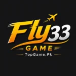 Fly33 game App