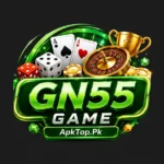 GN55 Game