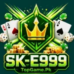 Sk E999 Game